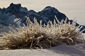 Salita sul MONTE AGA, salendo da Carona e passando dal Rif. Longo il 4 dicembre 2011 - FOTOGALLERY